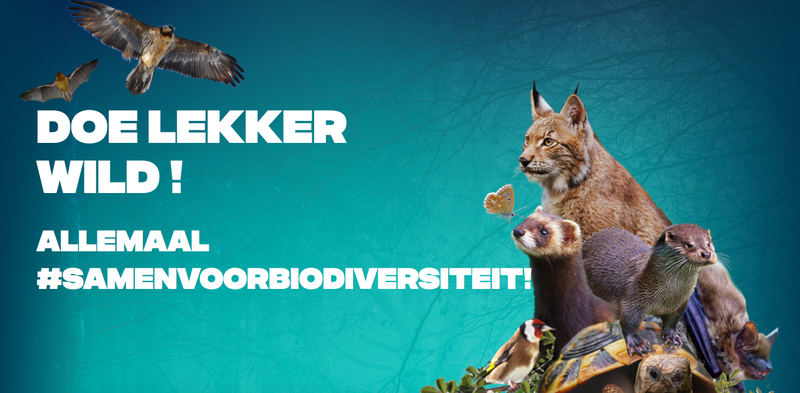 campagnebanner Doe Lekker Wild.png