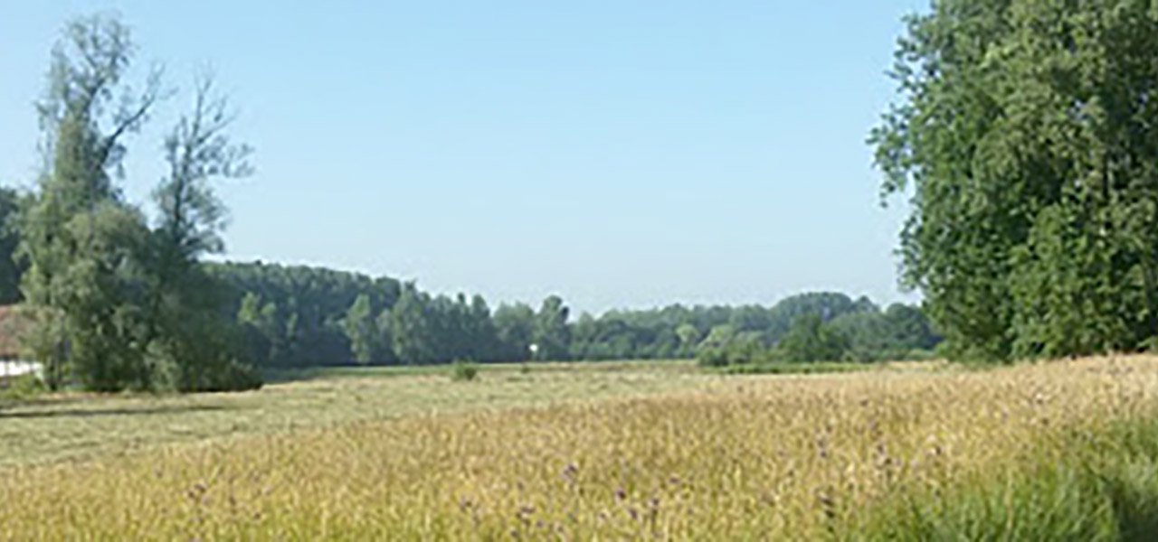 Biodiverse graslanden (Zuid-Limburg)